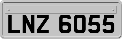 LNZ6055