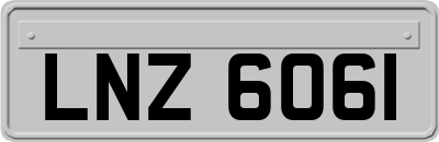 LNZ6061