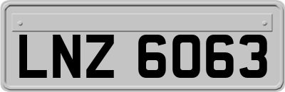 LNZ6063
