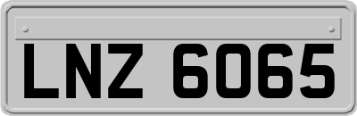 LNZ6065