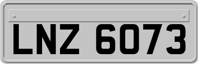 LNZ6073