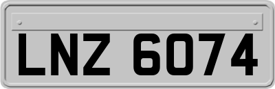 LNZ6074