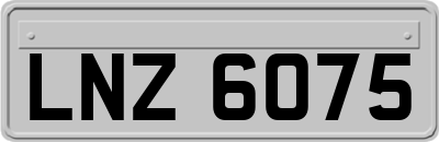 LNZ6075