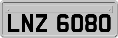 LNZ6080