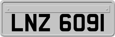 LNZ6091