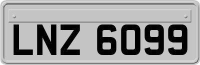 LNZ6099