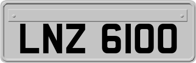 LNZ6100