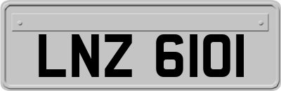 LNZ6101