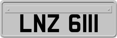 LNZ6111