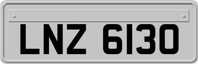 LNZ6130