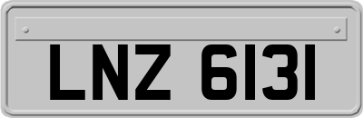 LNZ6131