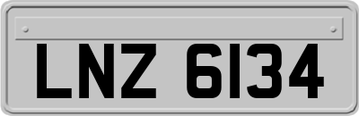 LNZ6134