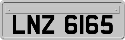 LNZ6165