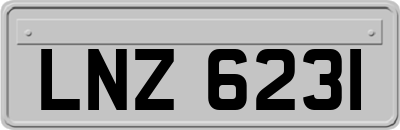 LNZ6231