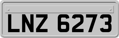 LNZ6273
