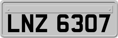 LNZ6307