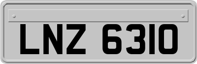 LNZ6310