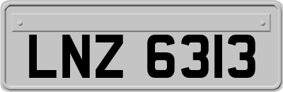 LNZ6313