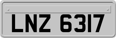 LNZ6317