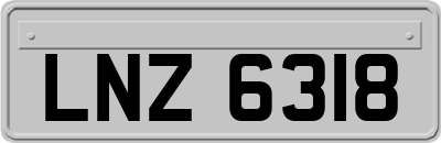 LNZ6318
