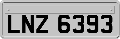 LNZ6393