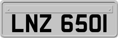 LNZ6501