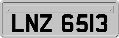 LNZ6513