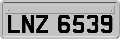 LNZ6539