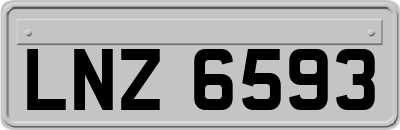 LNZ6593