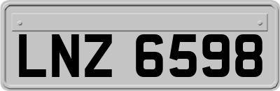 LNZ6598