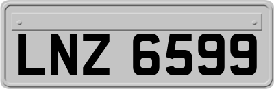 LNZ6599