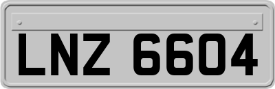 LNZ6604