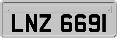 LNZ6691