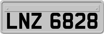 LNZ6828