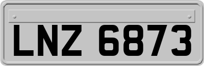 LNZ6873