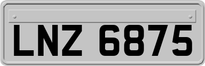 LNZ6875