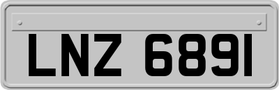 LNZ6891