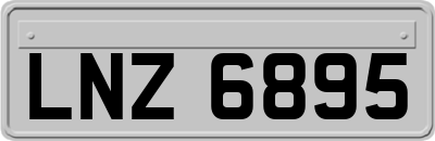 LNZ6895