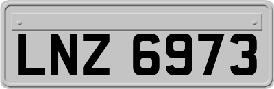 LNZ6973