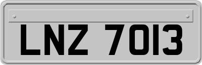 LNZ7013