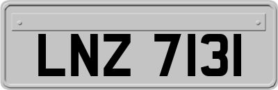 LNZ7131