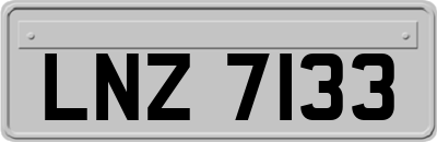 LNZ7133
