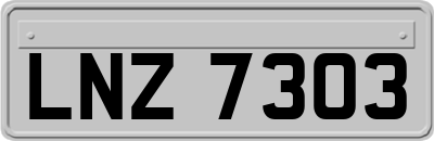 LNZ7303