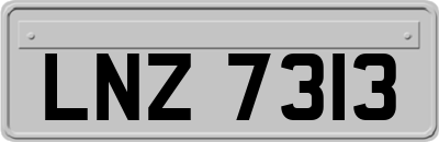 LNZ7313