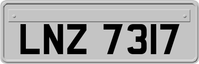 LNZ7317