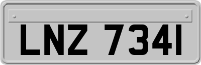 LNZ7341