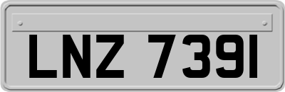 LNZ7391