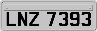 LNZ7393