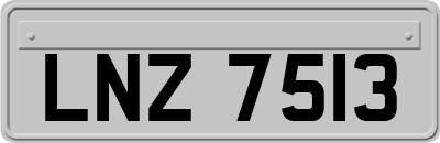 LNZ7513