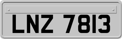 LNZ7813